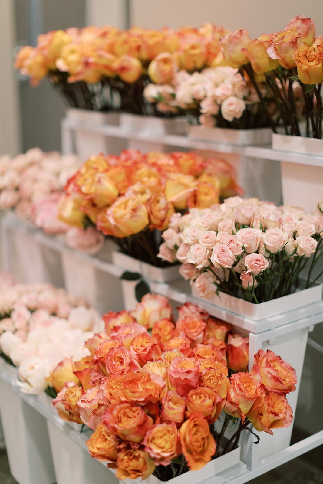 Floral arrangements